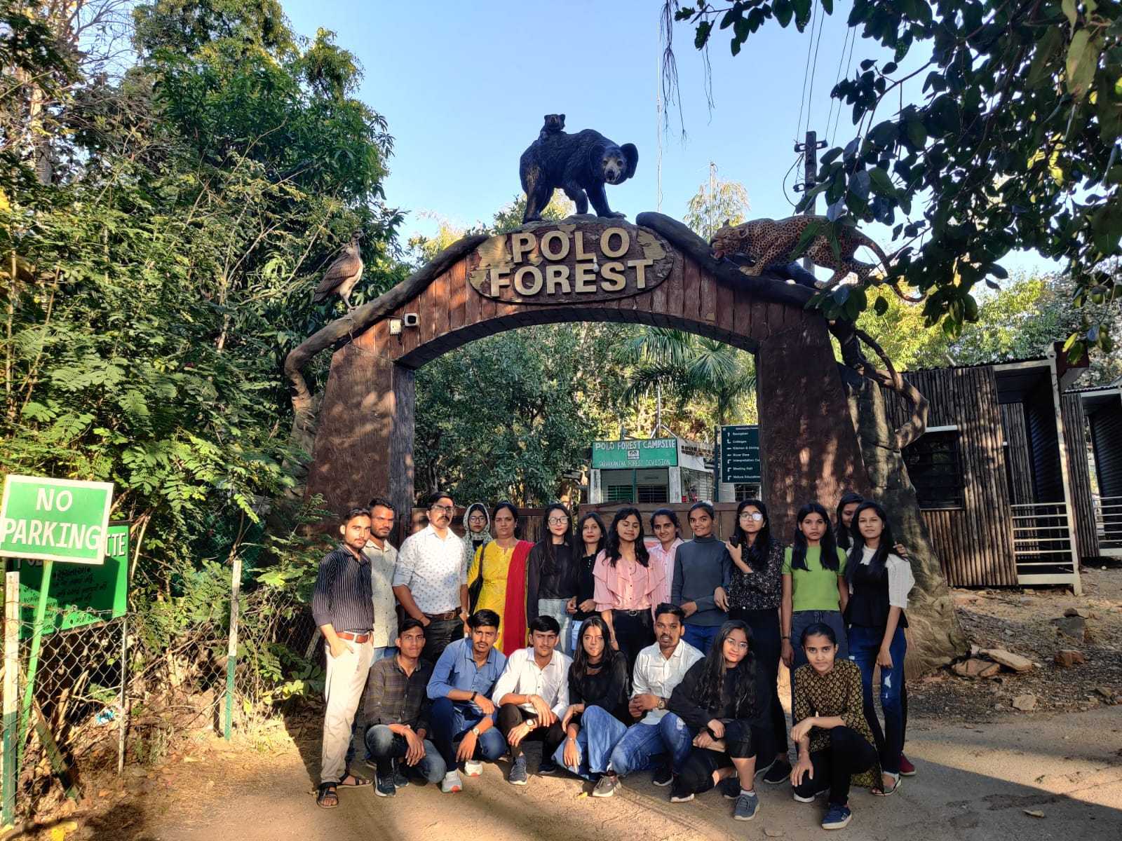Polo Forest